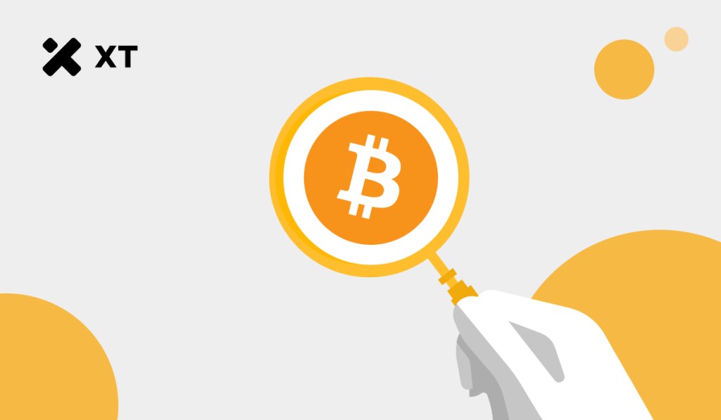 比特币价格波动的核心原因与市场影响因素——揭示加密货币市场的复杂动态 比特币价格波动的核心原因与市场影响因素——揭示加密货币市场的复杂动态